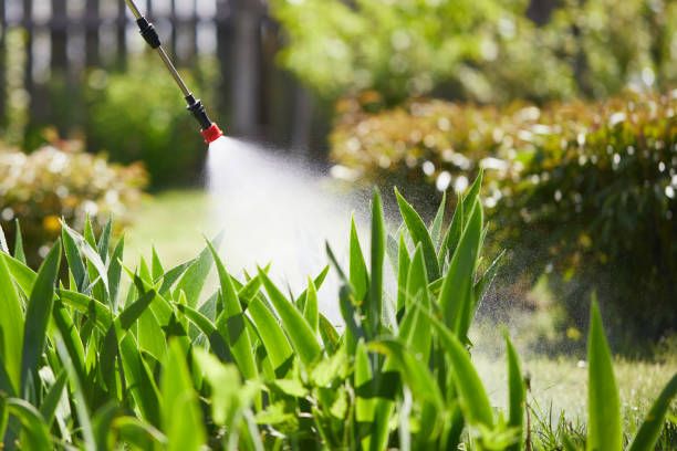 24/7 Emergency Mosquito Control experts in Monongahela, PA